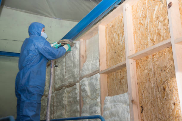 Insulation Repair Services in Tamiami, FL